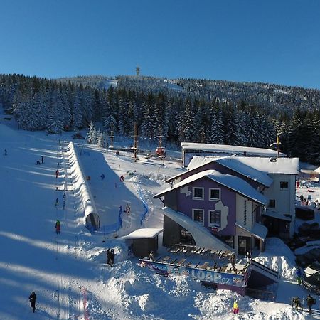 Pension Max Klinovec Loučná pod Klínovcem Exteriér fotografie